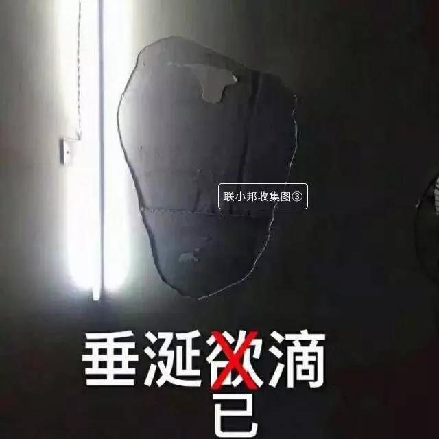 联邦尚品道集成墙面 装修案例