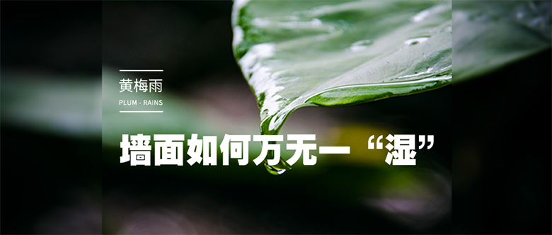 集成墙面 集成墙面