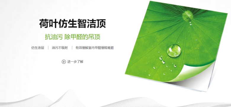 荷叶仿生技术.jpg 荷叶仿生技术.jpg