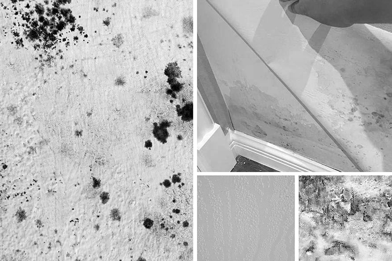 源木实心集成墙板